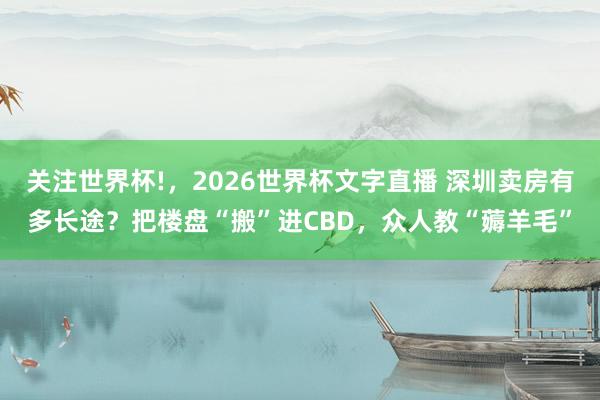 关注世界杯!,2026世界杯文字直播 深圳卖房有多长途?把楼盘“搬”进CBD,众人教“薅羊毛”