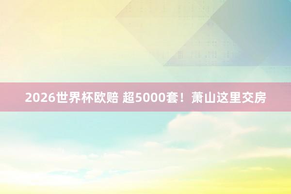 2026世界杯欧赔 超5000套!萧山这里交房