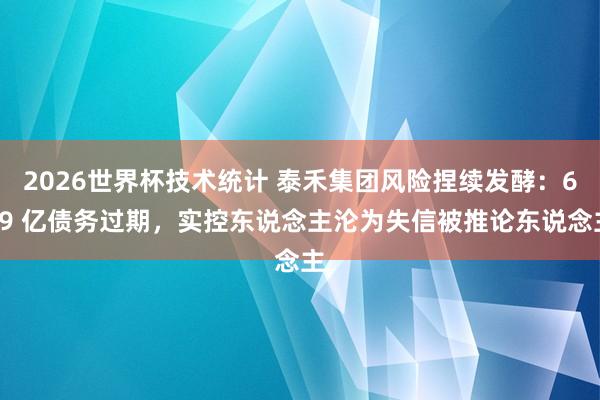 2026世界杯技术统计 泰禾集团风险捏续发酵:669 亿债务过期,实控东说念主沦为失信被推论东说念主