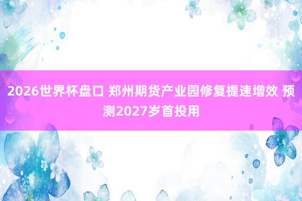 2026世界杯盘口 郑州期货产业园修复提速增效 预测2027岁首投用