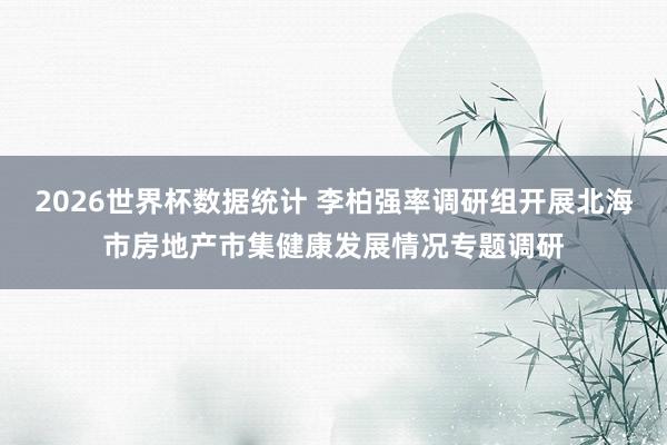 2026世界杯数据统计 李柏强率调研组开展北海市房地产市集健康发展情况专题调研