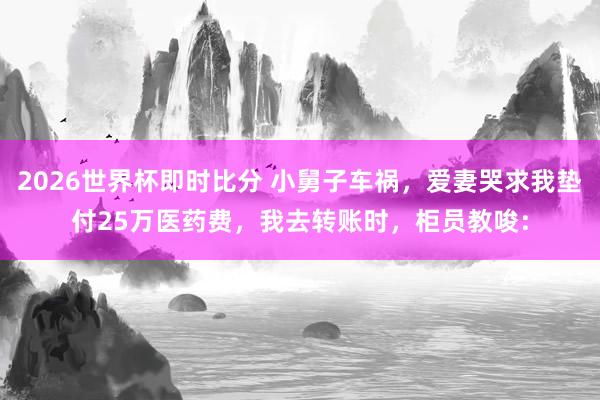 2026世界杯即时比分 小舅子车祸,爱妻哭求我垫付25万医药费,我去转账时,柜员教唆: