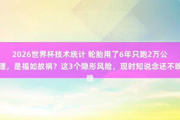 2026世界杯技术统计 轮胎用了6年只跑2万公理,是福如故祸?这3个隐形风险,现时知说念还不晚