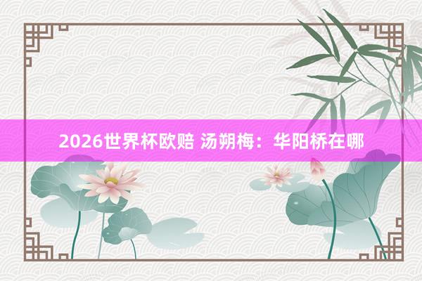 2026世界杯欧赔 汤朔梅:华阳桥在哪