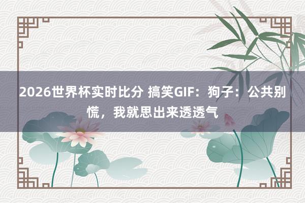 2026世界杯实时比分 搞笑GIF:狗子:公共别慌,我就思出来透透气