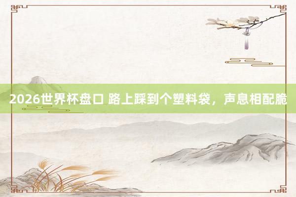 2026世界杯盘口 路上踩到个塑料袋,声息相配脆