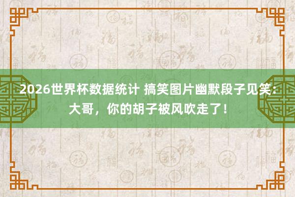 2026世界杯数据统计 搞笑图片幽默段子见笑:大哥,你的胡子被风吹走了!