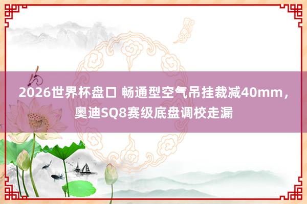 2026世界杯盘口 畅通型空气吊挂裁减40mm,奥迪SQ8赛级底盘调校走漏