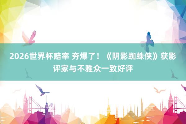 2026世界杯赔率 夯爆了！《阴影蜘蛛侠》获影评家与不雅众一致好评