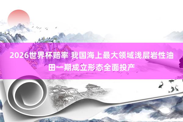 2026世界杯赔率 我国海上最大领域浅层岩性油田一期成立形态全面投产
