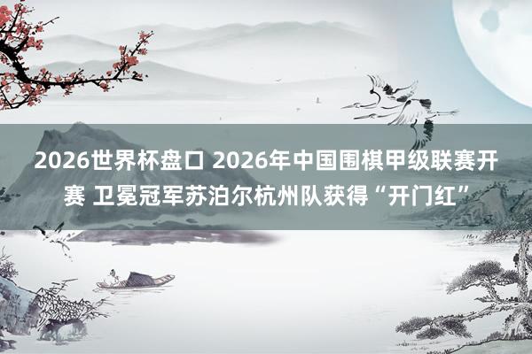 2026世界杯盘口 2026年中国围棋甲级联赛开赛 卫冕冠军苏泊尔杭州队获得“开门红”