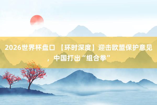 2026世界杯盘口 【环时深度】迎击欧盟保护意见,中国打出“组合拳”