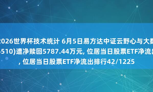 2026世界杯技术统计 6月5日易方达中证云野心与大数据主题ETF(516510)遭净赎回5787.44万元, 位居当日股票ETF净流出排行42/1225