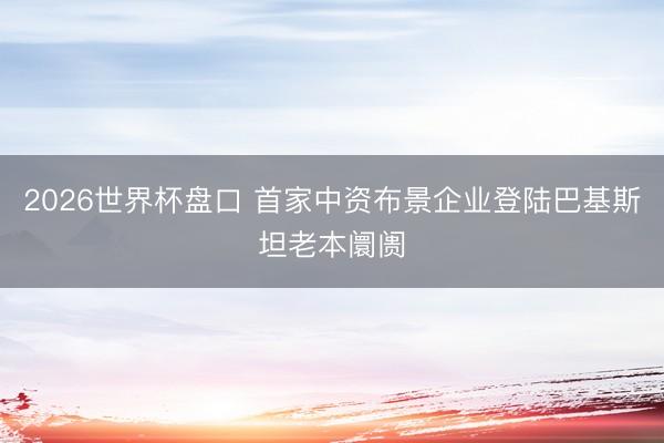 2026世界杯盘口 首家中资布景企业登陆巴基斯坦老本阛阓