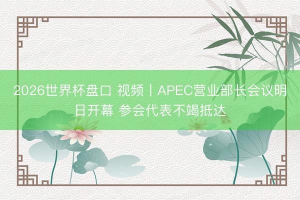 2026世界杯盘口 视频丨APEC营业部长会议明日开幕 参会代表不竭抵达